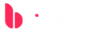 BidDigi